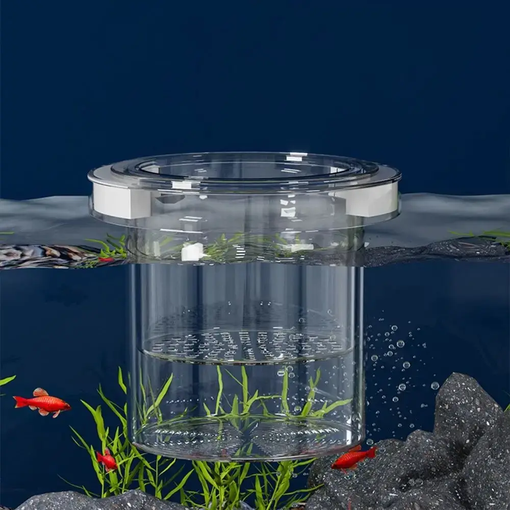 Floating Fish Breeding & Isolation Box for Aquariums
